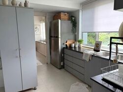 Pandan Valley (D21), Condominium #569123411